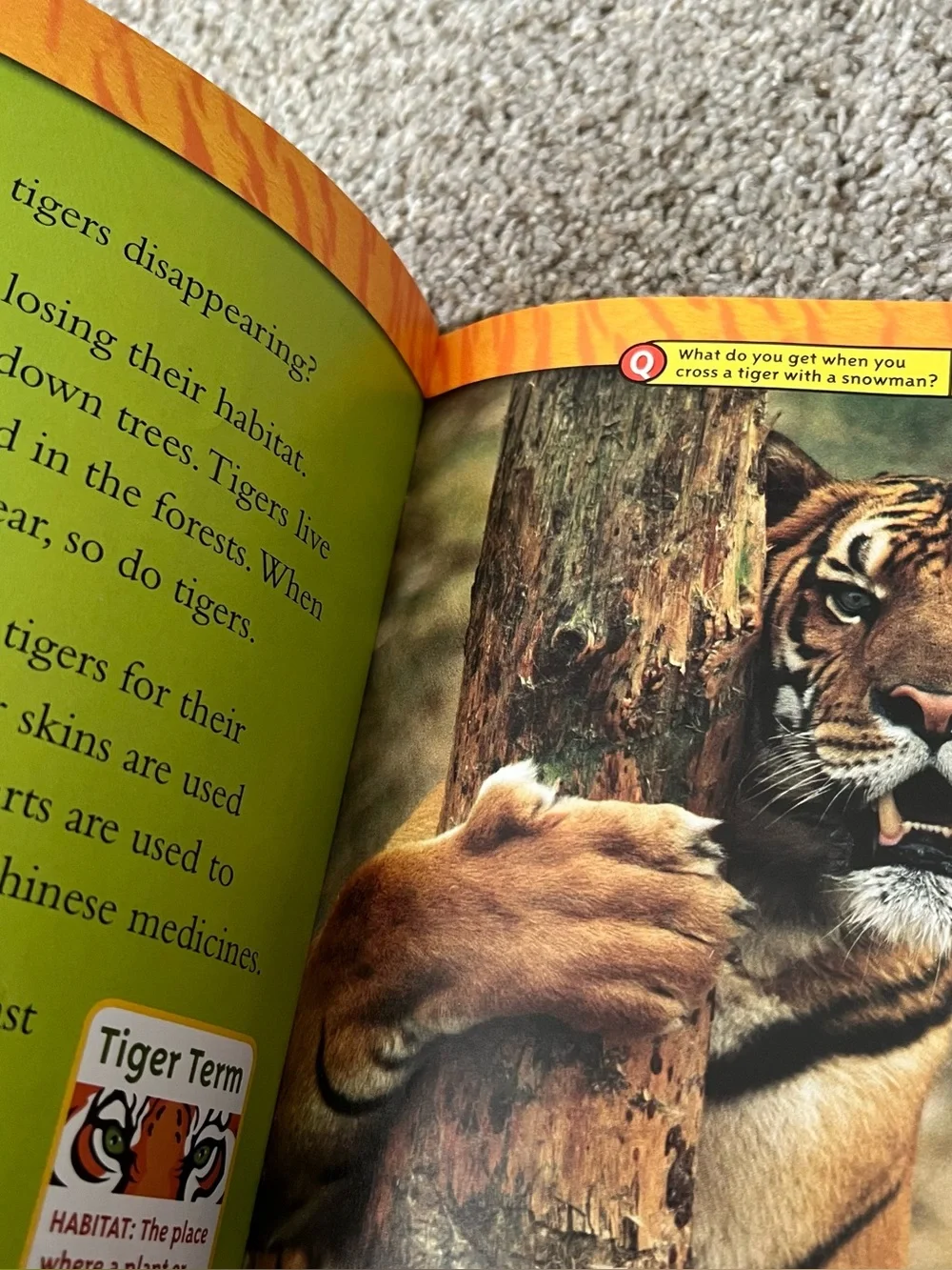 National Geographic Kids Book Lot - Colorful Science & Nature Titles Level 2